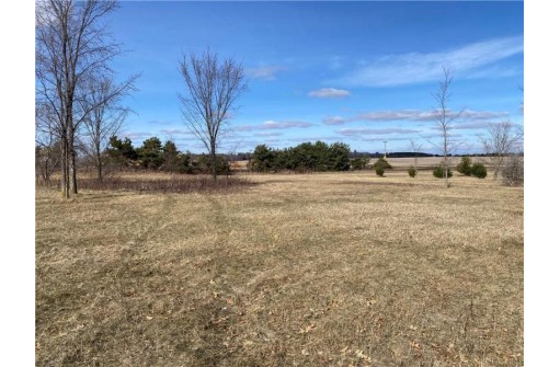 LOT 1 AND 2 934th Street, Mondovi, WI 54755