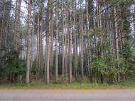 Covered Bridge Road