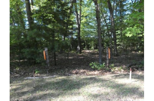 Loon Lake Circle, Shawano, WI 54166