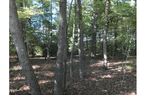 Loon Lake Circle, Shawano, WI 54166