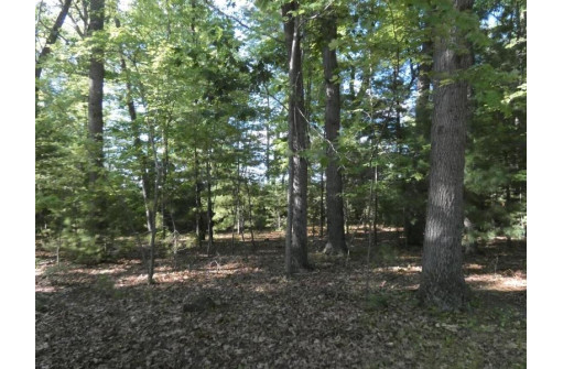 Loon Lake Circle, Shawano, WI 54166