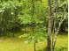 N10226 Deer Lane Middle Inlet, WI 54177