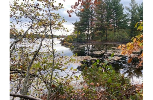 Point Drive, Summit Lake, WI 54485