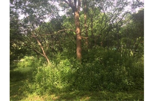 LOT 2 Hwy D, Colfax, WI 54730