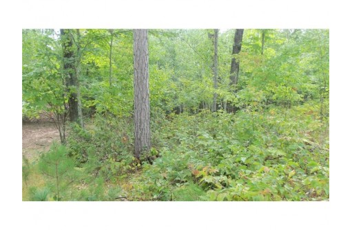 LOT 8 Cty Hwy H, Webster, WI 54893