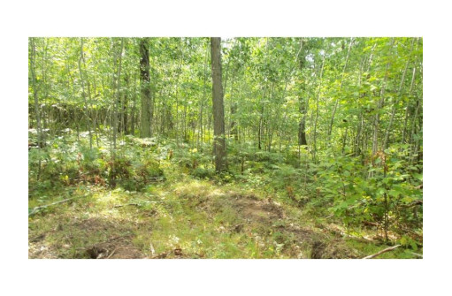 LOT 8 Cty Hwy H, Webster, WI 54893