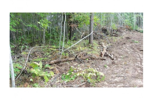 LOT 8 Cty Hwy H, Webster, WI 54893