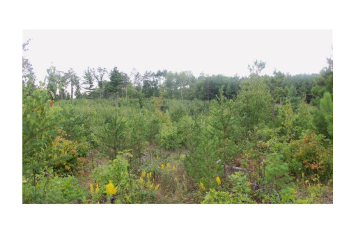 LOT 2 Hgh Ridge Trl, Webster, WI 54893