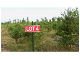 LOT 4 High Ridge Trl Webster, WI 54893