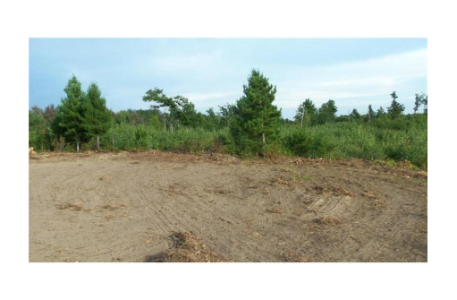 LOT 4 High Ridge Trl, Webster, WI 54893