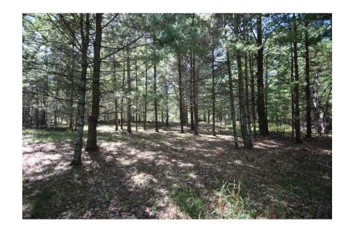 5 ACRES Olsen Road, Webster, WI 54893