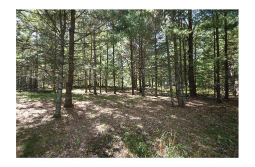 5 ACRES Olsen Road, Webster, WI 54893