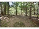 5 ACRES Olsen Road, Webster, WI 54893