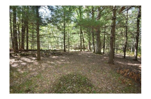 5 ACRES Olsen Road, Webster, WI 54893