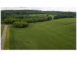 65.25 ACRES 550th Street Menomonie, WI 54751