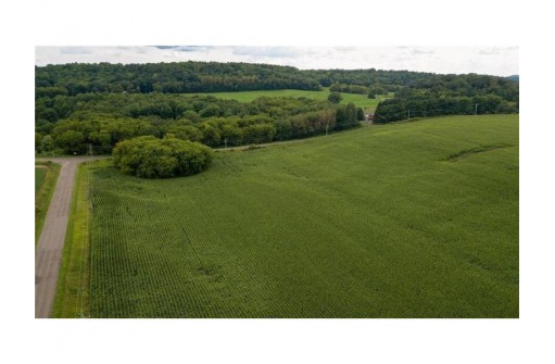 65.25 ACRES 550th Street, Menomonie, WI 54751