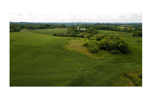 65.25 ACRES 550th Street, Menomonie, WI 54751