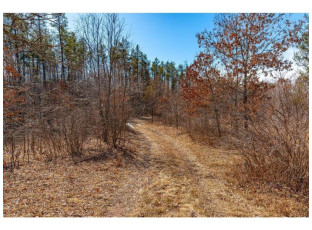 XX 20 ACRES TRANUS LAKE R Tranus Lake Rd Springbrook, WI 54875