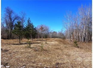 LOT 12 North Sixth Avenue Danbury, WI 54830