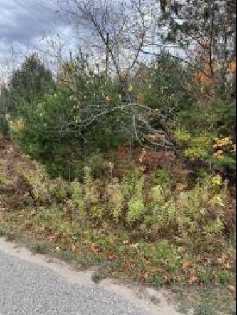 LOT 15 Sherry Lynn Drive Engadine, MI 49827