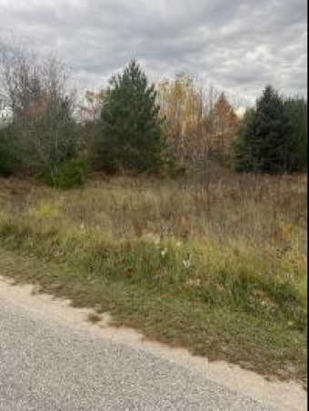 LOT 17 Sherry Lynn Drive Engadine, MI 49868