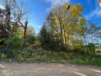 PARCEL C W Paulson Road Lansing, MI 48906