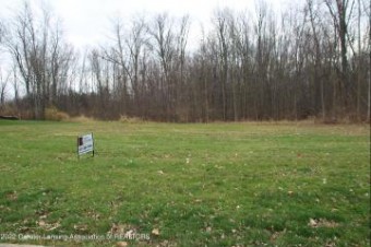 LOT 53 Doe Pass Lansing, MI 48901