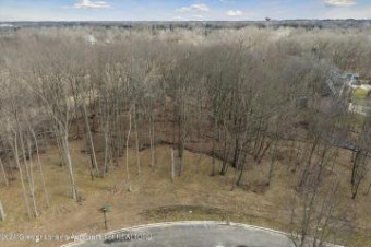 LOT 2 Crane Circle Okemos, MI 48864