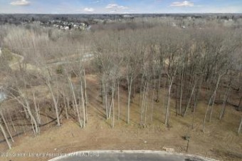 LOT 4 Crane Circle Okemos, MI 48864