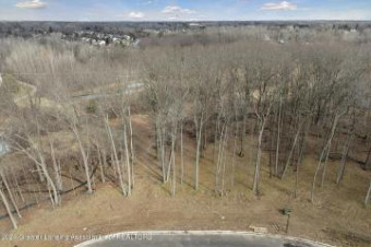 LOT 4 Crane Circle Okemos, MI 48864