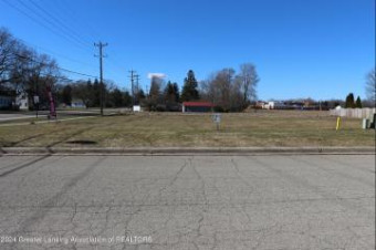 LOT 1 Black Oak Webberville, MI 48892