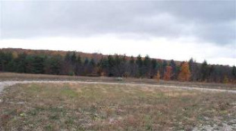 LOT 13 Bakers Acres LOT 13 Alanson, MI 49706