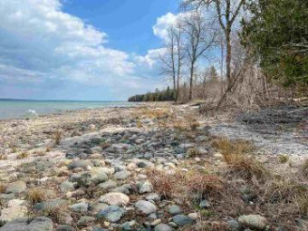 TBD N Island Woods Rd, Lot 464 Beaver Island, MI 49782