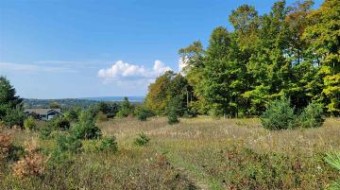 575 Harbor View Lane LOT 20 Petoskey, MI 49770