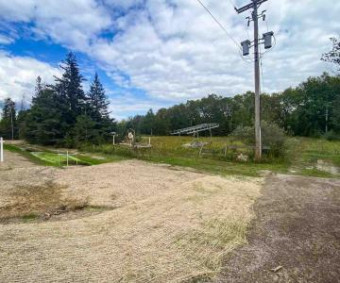 8425 S Us 31 Highway PARCEL B Alanson, MI 49706