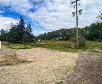 8425 S Us 31 Highway PARCEL B Alanson, MI 49706