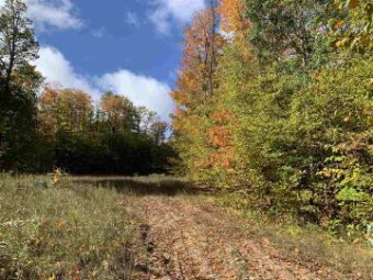 1547 Andover Club Dr  Lot 20 - LOT 20 Harbor Springs, MI 49740