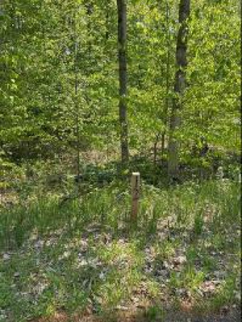 LOT 12 Aspen Ridge Court Boyne City, MI 49712