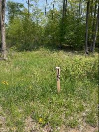 LOT 18 Aspen Ridge Court Boyne City, MI 49712