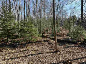 LOT 412/413/447 Wildwood And Island Wood LOTS 412,413, 447 PORT ST JAMES Beaver Island, MI 49782