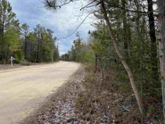 TBD East Side Drive Lot 49 Beaver Island, MI 49782