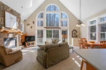 346 Sun Valley Drive Harbor Springs, MI 49740