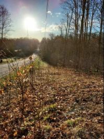 0 Valley Road PARCEL 1-A Alanson, MI 49706