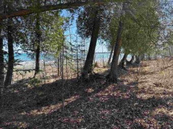 TBD Garden Island View LOTS 180, 181,13 Beaver Island, MI 49782