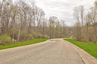 502 Bluebird Trail Ortonville, MI 48462