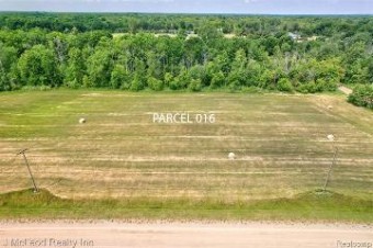 PARCEL B Centennial Lane Millington, MI 48746