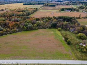 PARCEL 6 Lambs Road Goodells, MI 48027