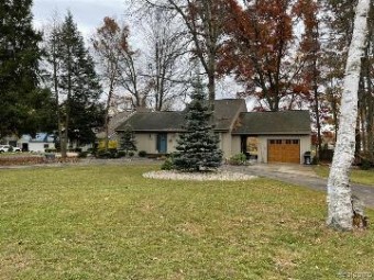 10725 Peninsula Drive Canadian Lakes, MI 49346