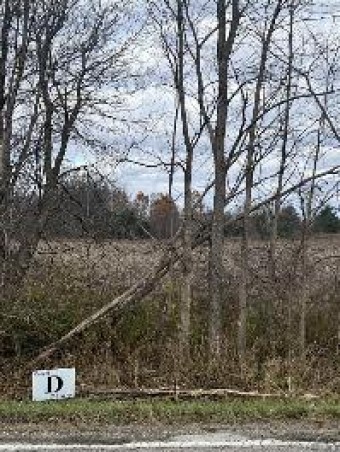 LOT D - VL Davis Lake Rd. Road Lapeer, MI 48446