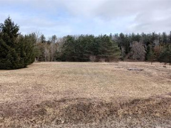 LOT 21 Maple Acres Drive Whittemore, MI 48770